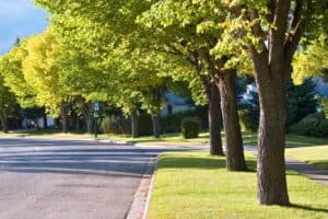 Tree-lined suburban street in Midtown Atlanta with well-maintained lawns and a clear sky. A historic home proudly stands near the sidewalk, which runs alongside a bus stop sign.