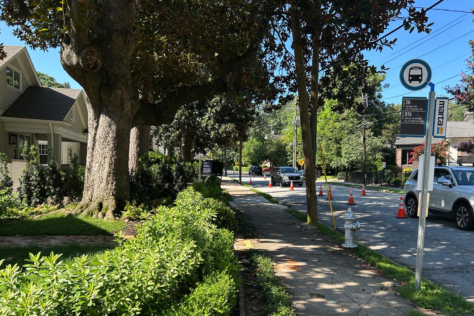 Saving Atlanta’s Urban Forest. One Trenchless Sewer Line Replacement at a Time.